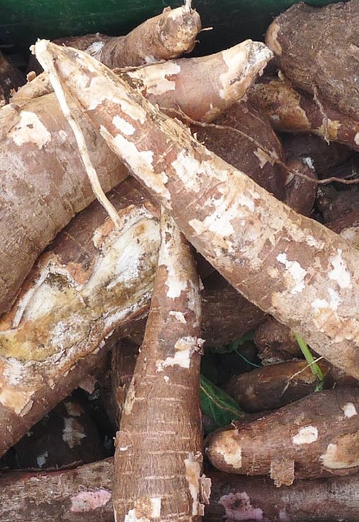 Sac de Manioc de la Cuvette