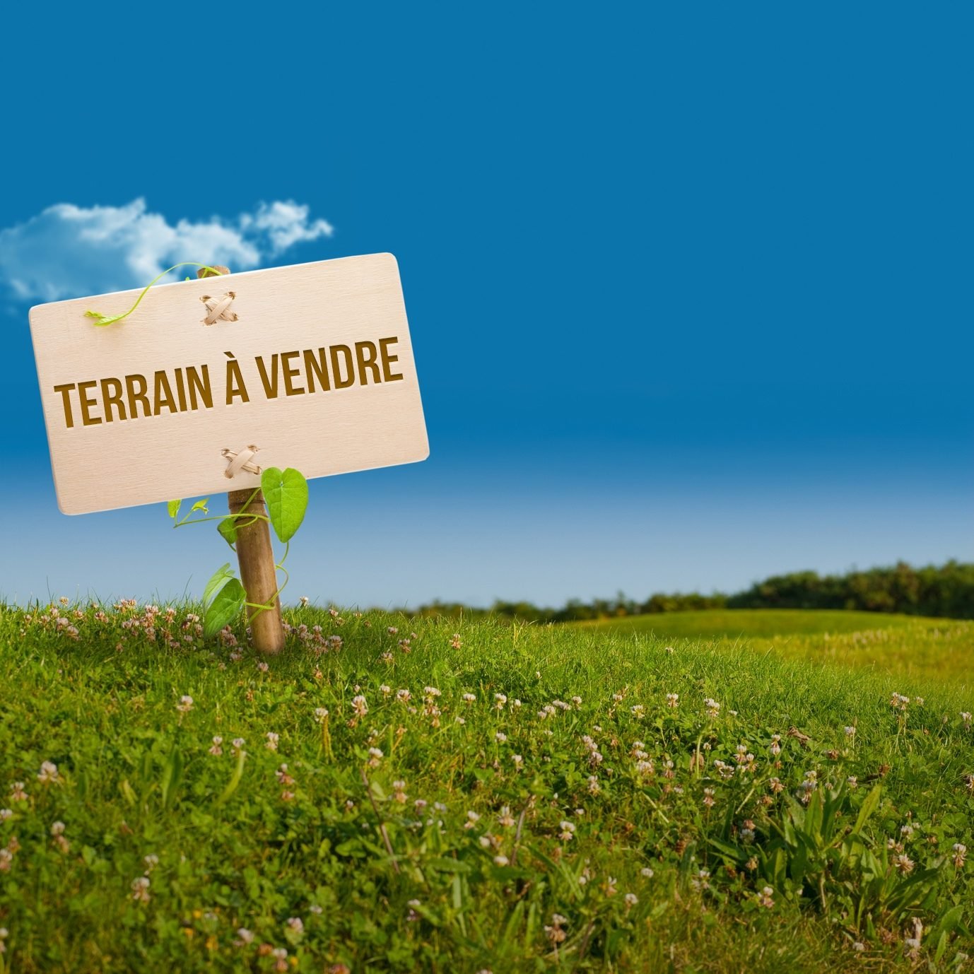 À VENDRE - Terrain  agricole de 10 hectares à sibiti