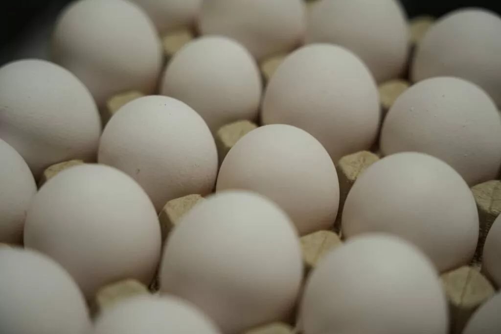 Œufs Batékés Bio – Le goût du naturel
